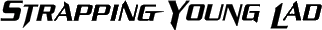 Click here for the official Strapping Young Lad website